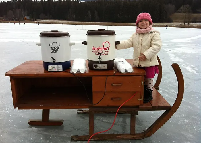 Jera Am Furtnerteich Hotel-ristorante&relax 3*