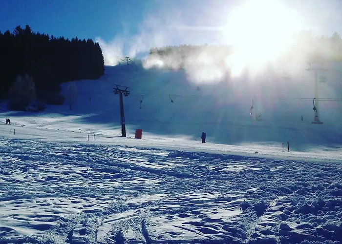 Jera Am Furtnerteich Hotel-ristorante&relax Otel Mariahof